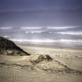 Morning at the Beach by Carrie Hannigan