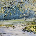 Morning Blue Painting by William Brody Morning Blue Painting by William Brody