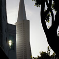 Morning light in North Beach. by Donald Kinney