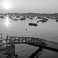 Morning Light on Marblehead Harbor Crocker Park Marblehead Massachusetts Black and White by Toby McGuire