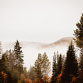 Morning Mist Photograph by Carmen Kern Morning Mist Photograph by Carmen Kern