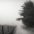 Morning on a Country Road Photograph by David Hilton Morning on a Country Road Photograph by David Hilton