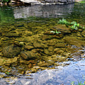 Morning Reflections 2 Photograph by Phil Perkins Morning Reflections 2 Photograph by Phil Perkins