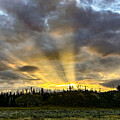 Morning Sunbeams by Julie Argyle