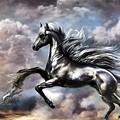 Morphing Digital Art by Beverly Read Morphing Digital Art by Beverly Read