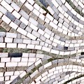 Mosaic Trails  by Carol Riddle