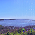 Mosquito Lagoon Panorama Photograph by George Taylor Mosquito Lagoon Panorama Photograph by George Taylor