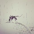 Mosquito Drawing by Sukalya Chearanantana Mosquito Drawing by Sukalya Chearanantana