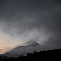 Mount Tamalpais by Donald Kinney