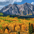 Majestic Colorado Fall Colors Panorama with Mountain Backdrop by Lena Owens