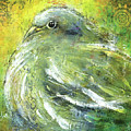 Mourning Dove Fat Bird by Patricia Lintner