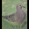 Mourning Dove Painting by Tim Nyberg Mourning Dove Painting by Tim Nyberg
