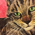 Mr Maowell by Call Me Abbie - Abbie Shores