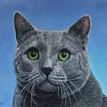 Mr. Max by Bob Williams