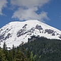 Mt. Rainier by Tammy Keyes