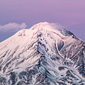 Mt. Shasta Pretty N Pink Photograph by Gary Geddes Mt. Shasta Pretty N Pink Photograph by Gary Geddes