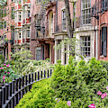 Mt Vernon Street  by Susan Cole Kelly
