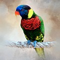 Multicolor Bird 87 Mixed Media by Lucie Dumas Multicolor Bird 87 Mixed Media by Lucie Dumas