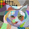 Multicolor Cat 678 Patterns Digital Art by Lucie Dumas Multicolor Cat 678 Patterns Digital Art by Lucie Dumas