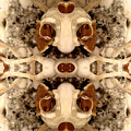 Mushroom Painting by Stephenie Zagorski Mushroom Painting by Stephenie Zagorski