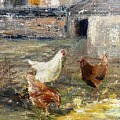 My Daughters chickens by Paula Pagliughi