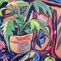 My Old Shoe by Kendall Kessler My Old Shoe by Kendall Kessler