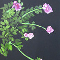 My peonies Painting by Linda Feinberg My peonies Painting by Linda Feinberg