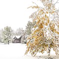 My Winter Home by Mary Tastad