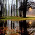 Mysterious Forest Reflections Abstract Painting Photograph by Debra and Dave Vanderlaan Mysterious Forest Reflections Abstract Painting Photograph by Debra and Dave Vanderlaan