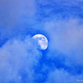 Mysterious Moon Photograph by Mary Walchuck Mysterious Moon Photograph by Mary Walchuck