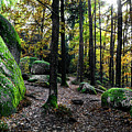 Mystic Landscape Of Nature Park Blockheide With Granite Rock Formations In Waldviertel In Austria Photograph by Andreas Berthold Mystic Landscape Of Nature Park Blockheide With Granite Rock Formations In Waldviertel In Austria Photograph by Andreas Berthold