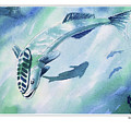 Mystic Remora by Ken Meyer jr Mystic Remora by Ken Meyer jr