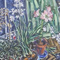 Narcissus, Amaryllis by Thomas Dans Narcissus, Amaryllis by Thomas Dans