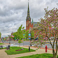 Natick Magnolia Bloom by Juergen Roth
