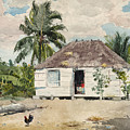 Native hut at Nassau Drawing by Winslow Homer Native hut at Nassau Drawing by Winslow Homer