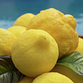Natural lemons and lemon leaves by the pool Photograph by Adriana Mueller Natural lemons and lemon leaves by the pool Photograph by Adriana Mueller