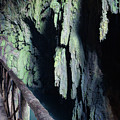 Natural park of the monastery of Piedra - Des-saturated Edition Photograph by Jordi Carrio Jamila Natural park of the monastery of Piedra - Des-saturated Edition Photograph by Jordi Carrio Jamila
