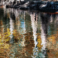 Nature Abstracted 234B by Sally Fuller