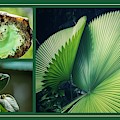 Nature As Art Mixed Media by Nancy Ayanna Wyatt Nature As Art Mixed Media by Nancy Ayanna Wyatt
