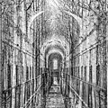 NATUREs CATHEDRAL 1 by Rand Ningali