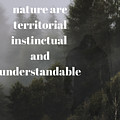 Natures Laws Digital Art by Hank Gray Natures Laws Digital Art by Hank Gray