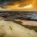 Nature's Spectacle Photograph by DB Hayes Nature's Spectacle Photograph by DB Hayes