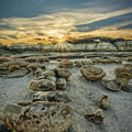 Natures Treasure Photograph by George Buxbaum Natures Treasure Photograph by George Buxbaum
