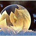 Nature's Winter Magic Photograph by Nancy Ayanna Wyatt Nature's Winter Magic Photograph by Nancy Ayanna Wyatt