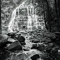 Nelson Falls, Tasmania, Australia 2 Photograph by Elaine Teague Nelson Falls, Tasmania, Australia 2 Photograph by Elaine Teague
