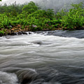 Nemo Rapids 11 Photograph by Phil Perkins Nemo Rapids 11 Photograph by Phil Perkins
