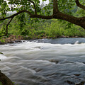 Nemo Rapids 12 Photograph by Phil Perkins Nemo Rapids 12 Photograph by Phil Perkins