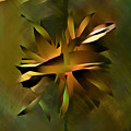 Nest of Swords Digital Art by Daniel Davidsohn Nest of Swords Digital Art by Daniel Davidsohn