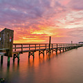 New Beginnings Photograph by Christopher Rice New Beginnings Photograph by Christopher Rice