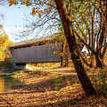 New Brownsville Covered Bridge - Columbus, IN Photograph by Susan Rissi Tregoning New Brownsville Covered Bridge - Columbus, IN Photograph by Susan Rissi Tregoning